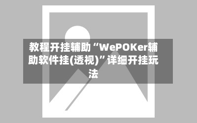 教程开挂辅助“WePOKer辅助软件挂(透视)	”详细开挂玩法-第1张图片