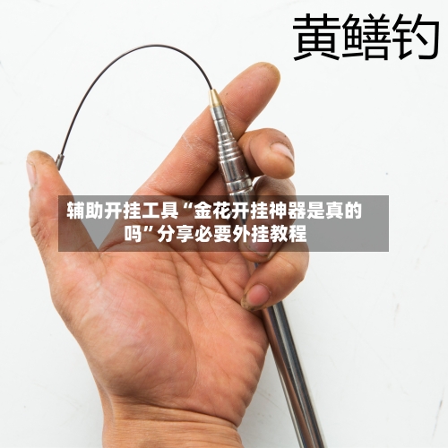 辅助开挂工具“金花开挂神器是真的吗	”分享必要外挂教程-第1张图片