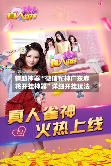 辅助神器“微信雀神广东麻将开挂神器”详细开挂玩法-第1张图片