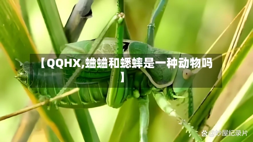 【QQHX,蛐蛐和蟋蟀是一种动物吗】-第1张图片