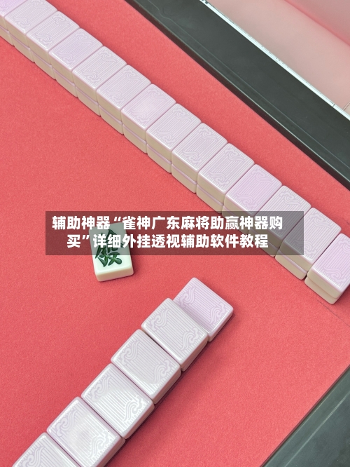 辅助神器“雀神广东麻将助赢神器购买”详细外挂透视辅助软件教程-第1张图片