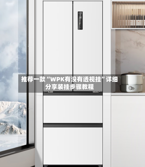 推荐一款“WPK有没有透视挂”详细分享装挂步骤教程-第1张图片