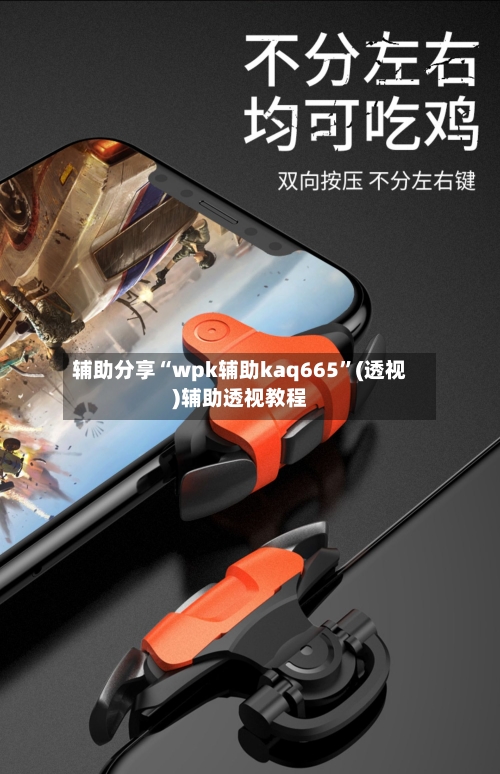 辅助分享“wpk辅助kaq665”(透视)辅助透视教程-第1张图片