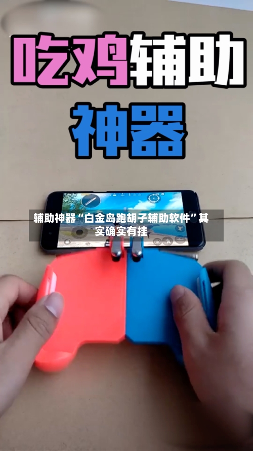 辅助神器“白金岛跑胡子辅助软件”其实确实有挂-第1张图片