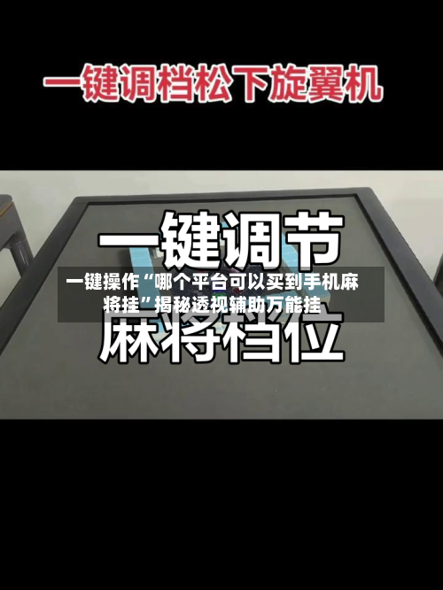 一键操作“哪个平台可以买到手机麻将挂	”揭秘透视辅助万能挂-第1张图片