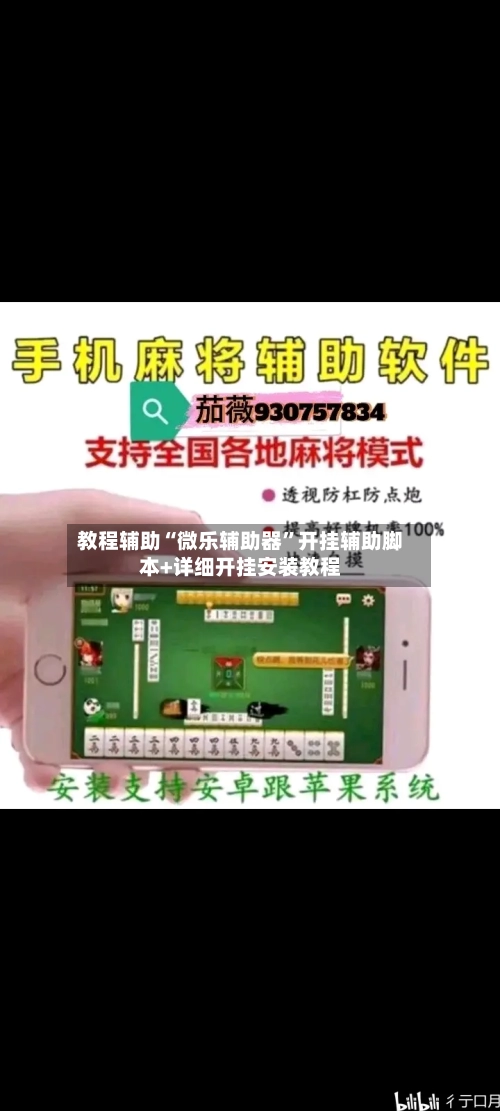 教程辅助“微乐辅助器”开挂辅助脚本+详细开挂安装教程-第1张图片