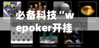 必备科技“wepoker开挂辅助方法(透视)”详细开挂玩法-第1张图片