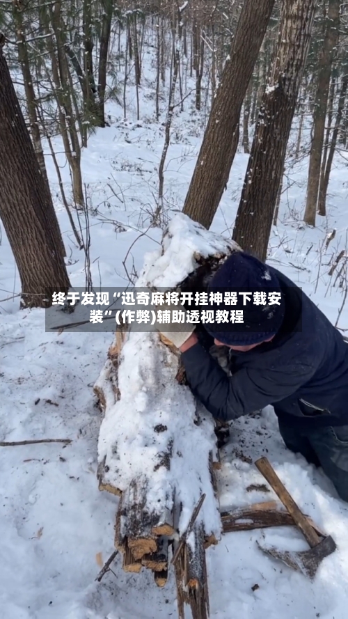 终于发现“迅奇麻将开挂神器下载安装”(作弊)辅助透视教程-第1张图片