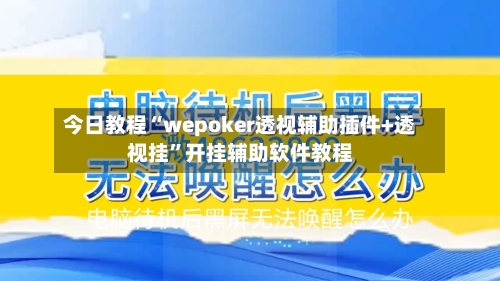 今日教程“wepoker透视辅助插件+透视挂	”开挂辅助软件教程-第1张图片