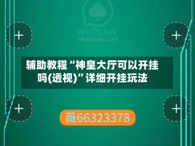 辅助教程“神皇大厅可以开挂吗(透视)	”详细开挂玩法-第1张图片
