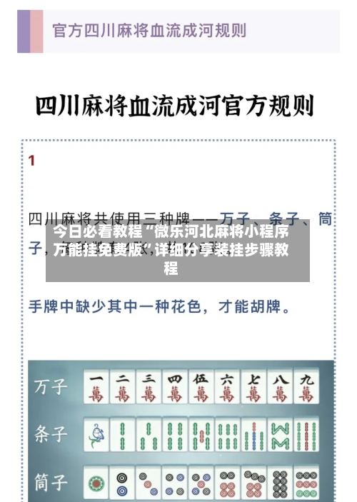 今日必看教程“微乐河北麻将小程序万能挂免费版”详细分享装挂步骤教程-第1张图片