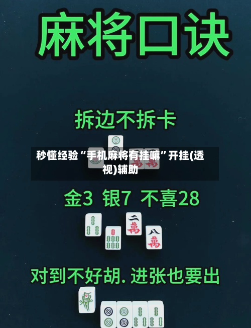 秒懂经验“手机麻将有挂嘛	”开挂(透视)辅助-第1张图片