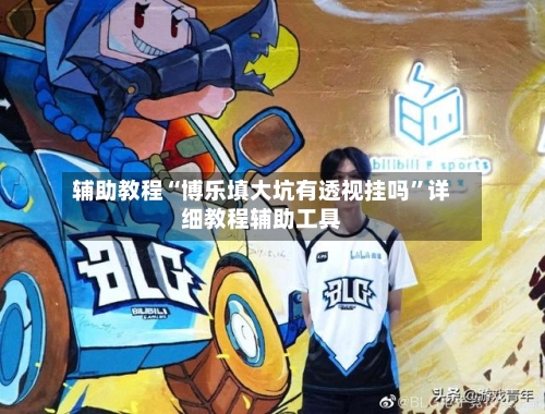 辅助教程“博乐填大坑有透视挂吗”详细教程辅助工具-第1张图片