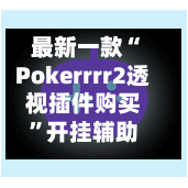 最新一款“Pokerrrr2透视插件购买”开挂辅助脚本+详细开挂安装教程-第1张图片