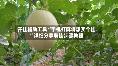开挂辅助工具“手机打麻将想买个挂”详细分享装挂步骤教程-第1张图片
