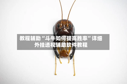 教程辅助“斗牛如何提高胜率	”详细外挂透视辅助软件教程-第1张图片