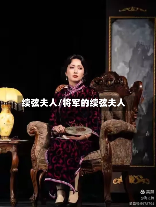 续弦夫人/将军的续弦夫人-第1张图片
