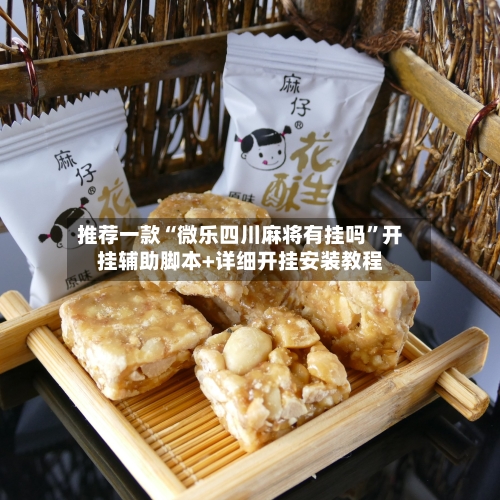 推荐一款“微乐四川麻将有挂吗”开挂辅助脚本+详细开挂安装教程-第1张图片