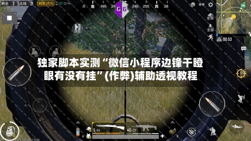 独家脚本实测“微信小程序边锋干瞪眼有没有挂”(作弊)辅助透视教程-第1张图片