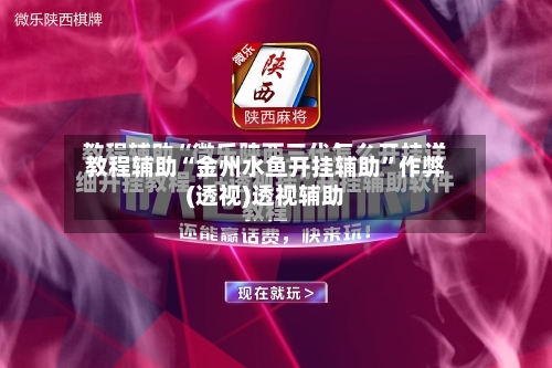 教程辅助“金州水鱼开挂辅助”作弊(透视)透视辅助-第1张图片