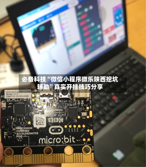 必备科技“微信小程序微乐陕西挖坑辅助”真实开挂技巧分享-第1张图片