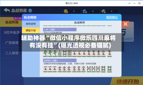 辅助神器“微信小程序微乐四川麻将有没有挂”(曝光透视必备猫腻)-第1张图片