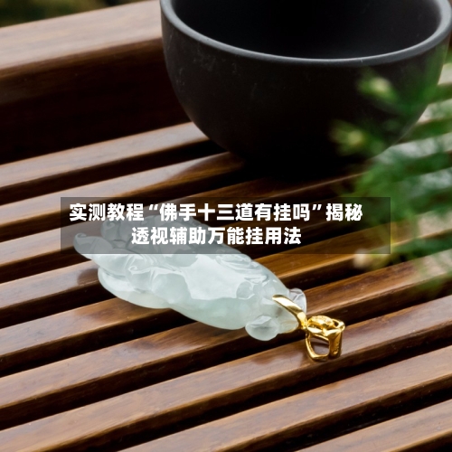 实测教程“佛手十三道有挂吗”揭秘透视辅助万能挂用法-第1张图片