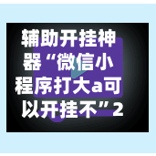 辅助开挂神器“微信小程序打大a可以开挂不	”2026透视开挂-第1张图片