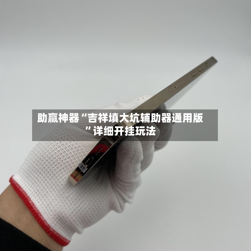 助赢神器“吉祥填大坑辅助器通用版	”详细开挂玩法-第1张图片