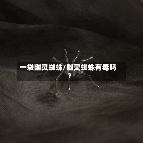 一袋幽灵蜘蛛/幽灵蜘蛛有毒吗?-第1张图片