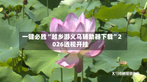 一键必胜“越乡游义乌辅助器下载”2026透视开挂-第1张图片