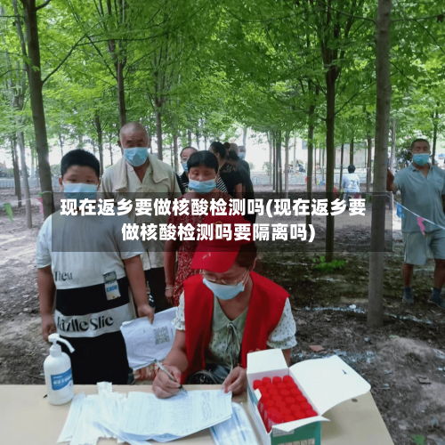 现在返乡要做核酸检测吗(现在返乡要做核酸检测吗要隔离吗)-第1张图片