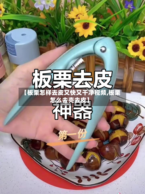 【板栗怎样去皮又快又干净视频,板栗怎么去壳去皮】-第1张图片