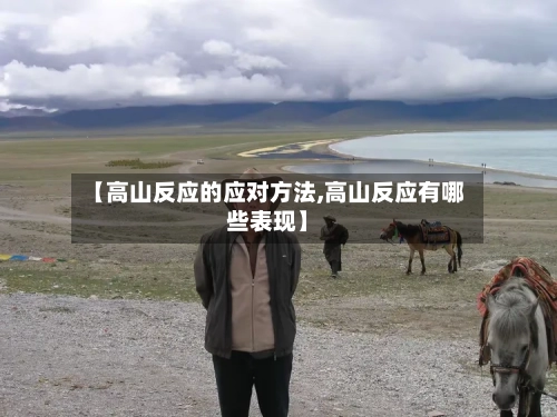 【高山反应的应对方法,高山反应有哪些表现】-第1张图片