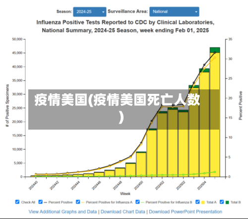 疫情美国(疫情美国死亡人数)-第1张图片