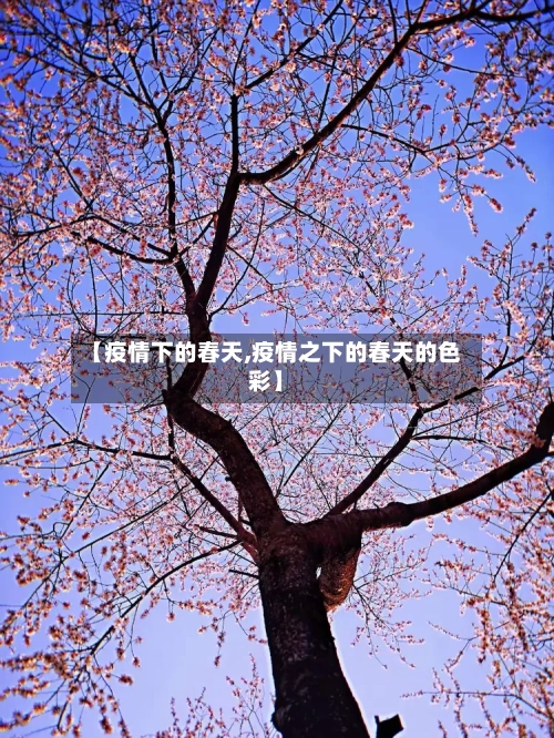 【疫情下的春天,疫情之下的春天的色彩】-第1张图片