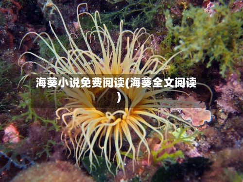 海葵小说免费阅读(海葵全文阅读)-第1张图片