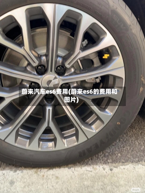 蔚来汽车es6费用(蔚来es6的费用和图片)-第1张图片
