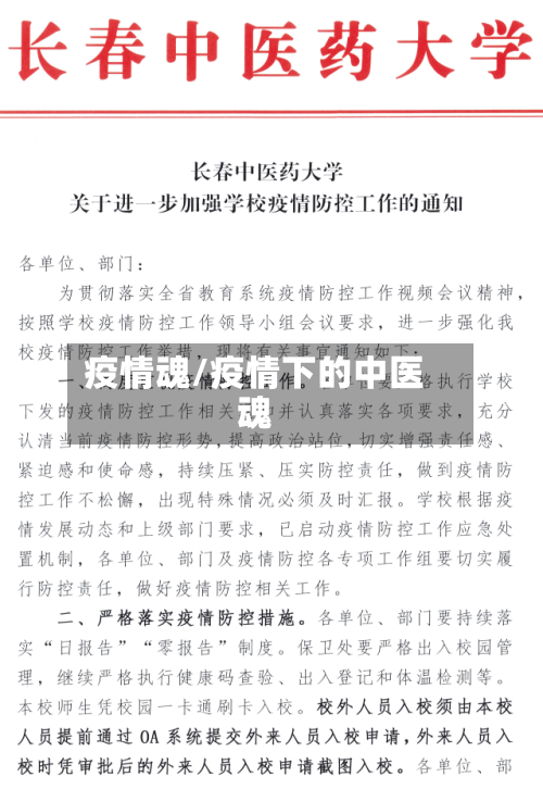 疫情魂/疫情下的中医魂-第1张图片