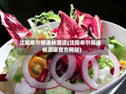 沈阳希尔顿逸林酒店(沈阳希尔顿逸林酒店官方网站)-第1张图片
