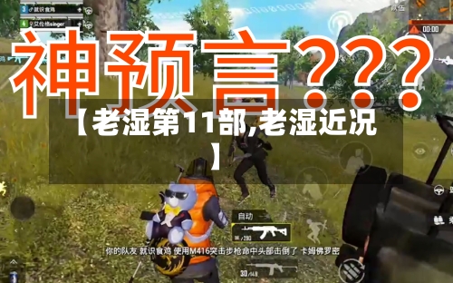 【老湿第11部,老湿近况】-第1张图片