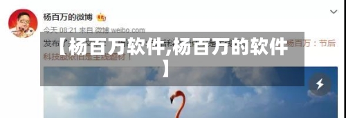 【杨百万软件,杨百万的软件】-第1张图片