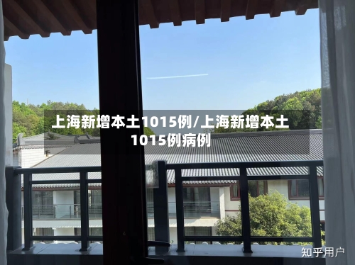 上海新增本土1015例/上海新增本土1015例病例-第1张图片