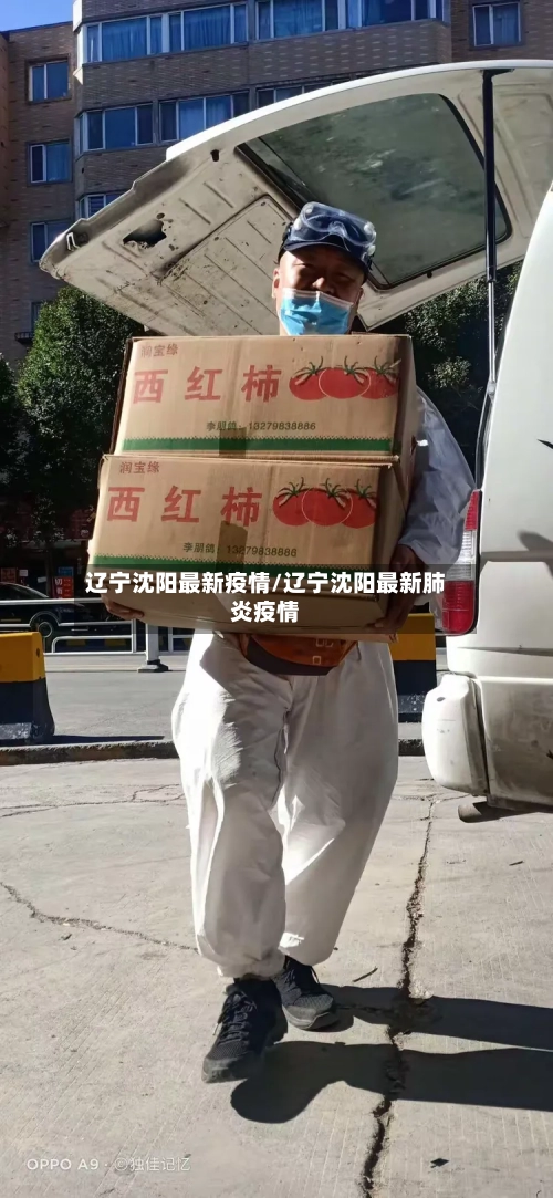 辽宁沈阳最新疫情/辽宁沈阳最新肺炎疫情-第1张图片