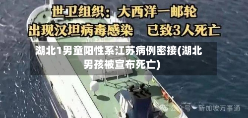 湖北1男童阳性系江苏病例密接(湖北男孩被宣布死亡)-第1张图片