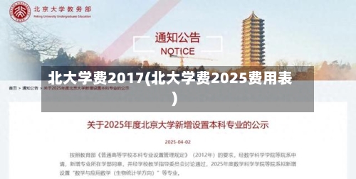 北大学费2017(北大学费2025费用表)-第1张图片