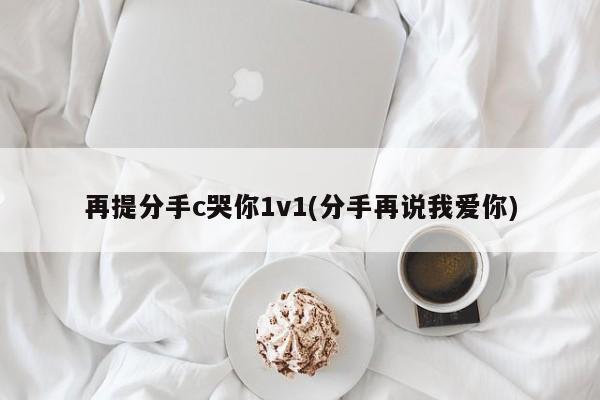 再提分手c哭你1v1(分手再说我爱你)