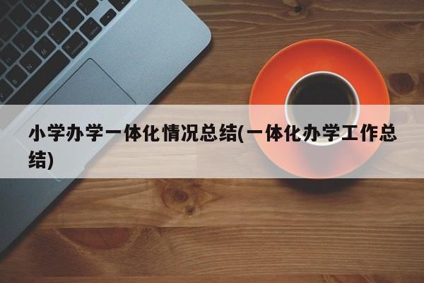 小学办学一体化情况总结(一体化办学工作总结)