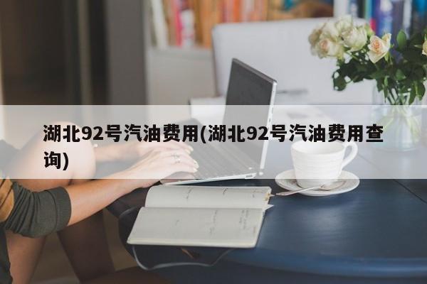 湖北92号汽油费用(湖北92号汽油费用查询)